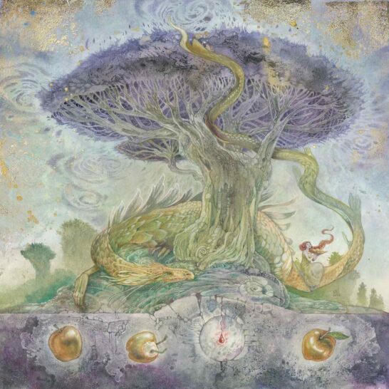 stephanie-law-dragontree-forest