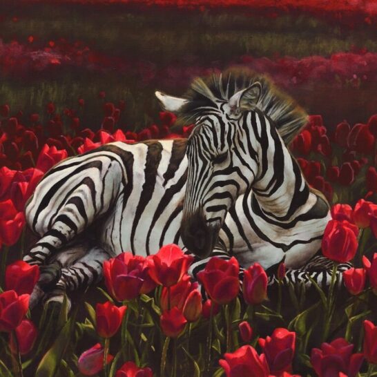 Hallie-Packard-zebra