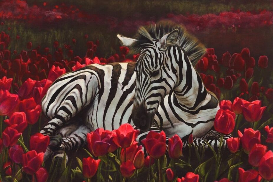 Hallie-Packard-zebra