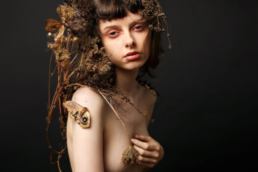 Leigh Schneider Gone to Seed