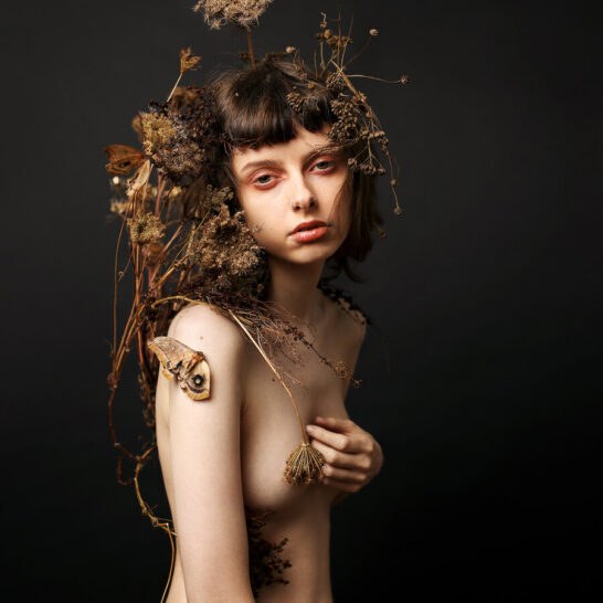 Leigh Schneider Gone to Seed