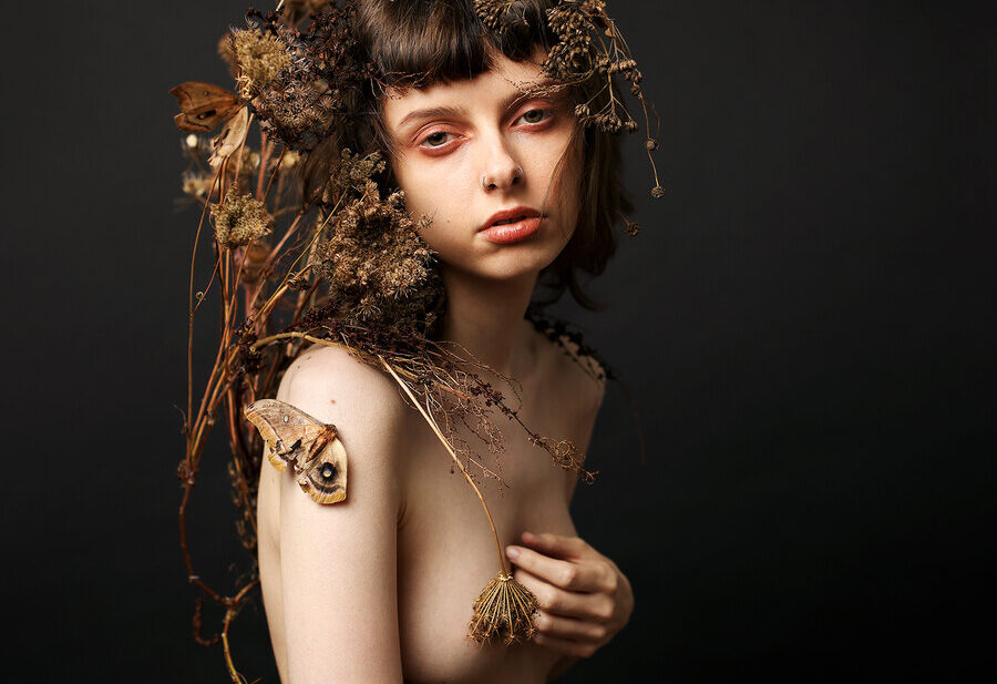 Leigh Schneider Gone to Seed