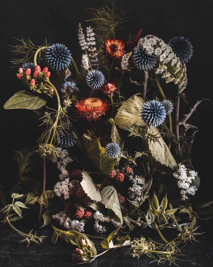 A Beguiling Lens: Alyssa Thorne’s Baroque-Inspired Still Life