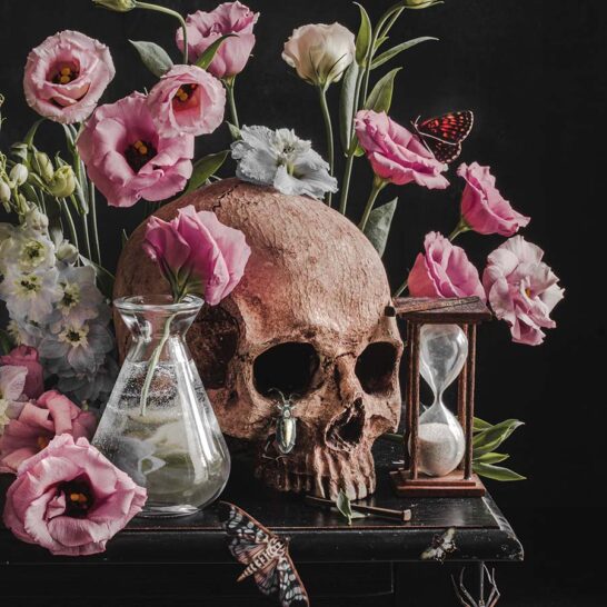 alyssa-thorne-VANITAS-I