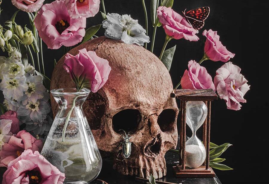 alyssa-thorne-VANITAS-I