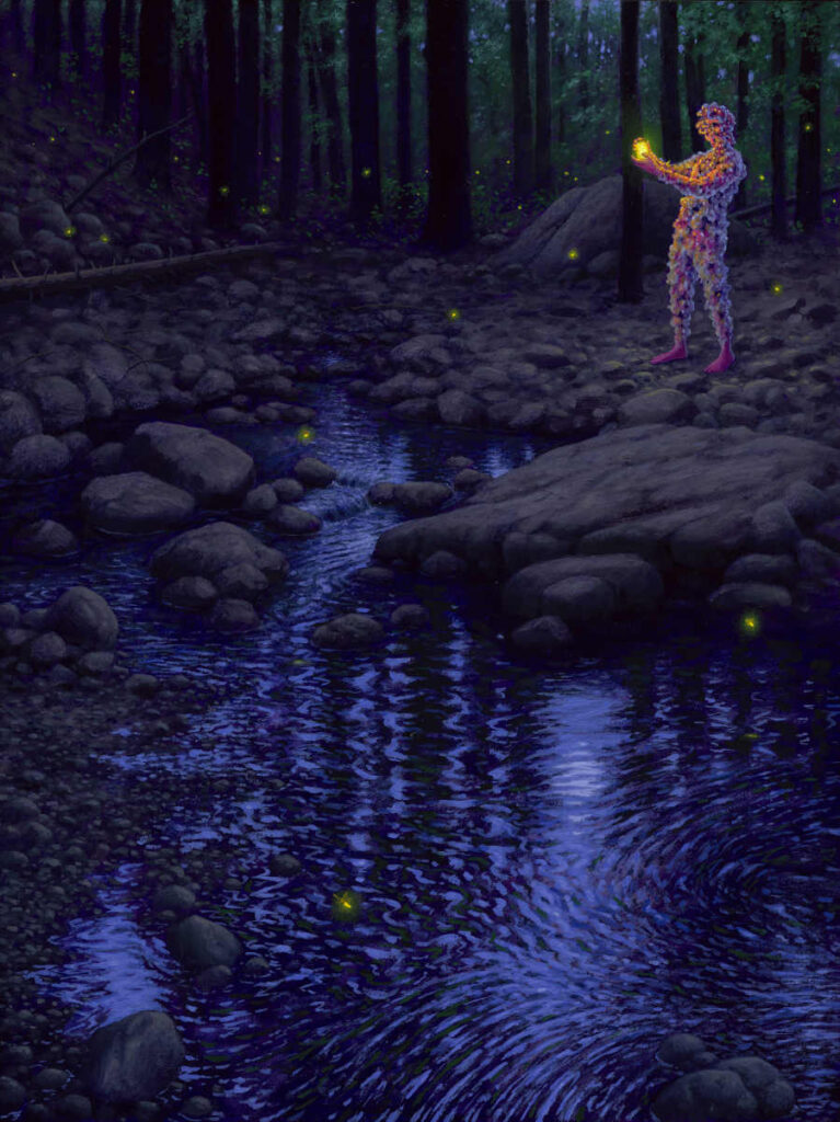 Adrian-Cox-Catching-Fireflies