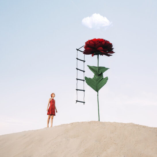 Jovana-Rikalo-red-flower