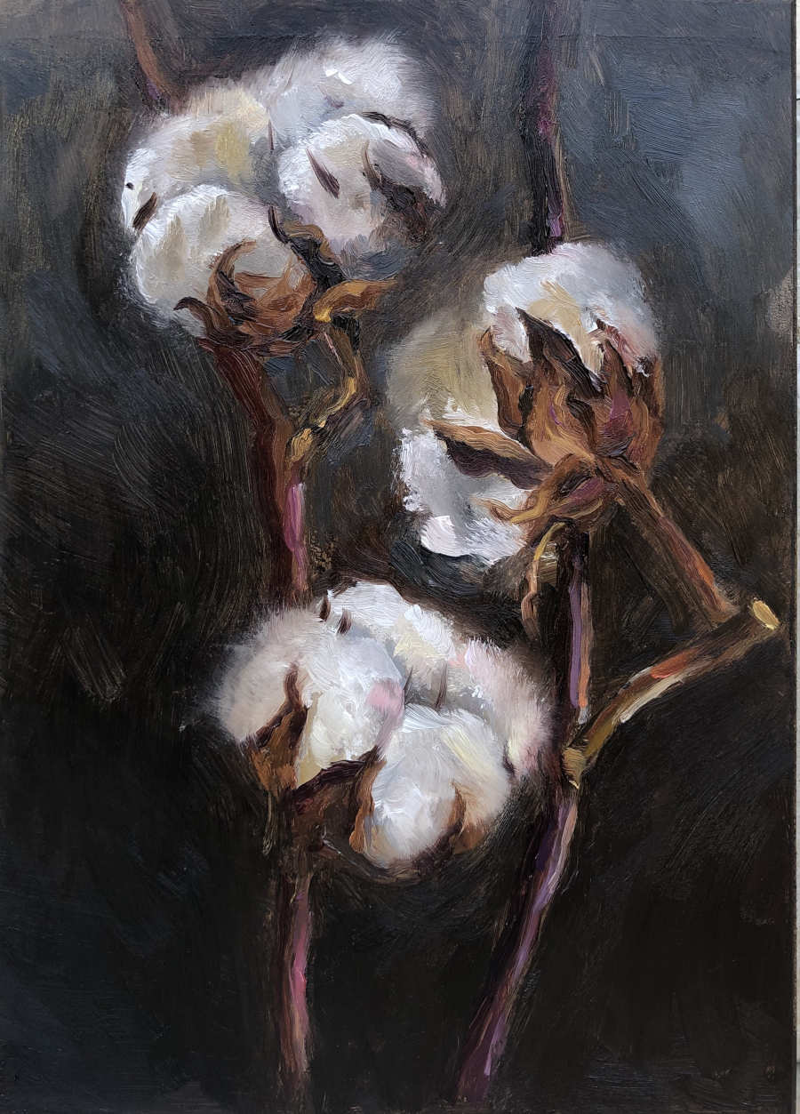 Ivana-Okereke-cotton-flowers