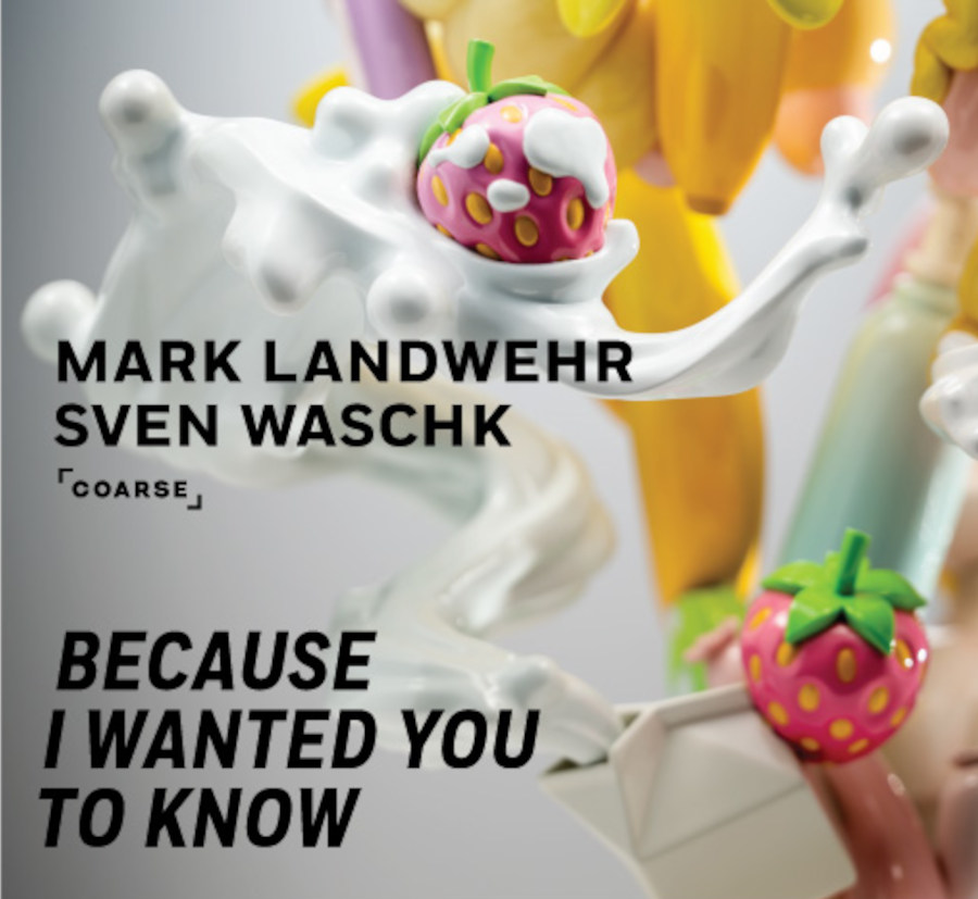 Mark-Landwehr-Sven-Waschk-coarse-02