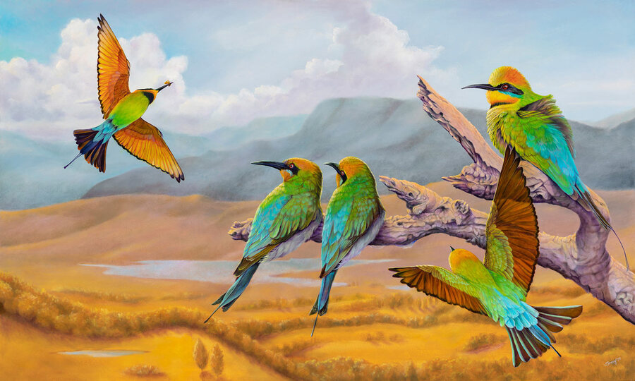rainbow-bee-eaters-swapnil-nevgi