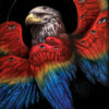 Adrian-Dominic-Bird-Painting-1