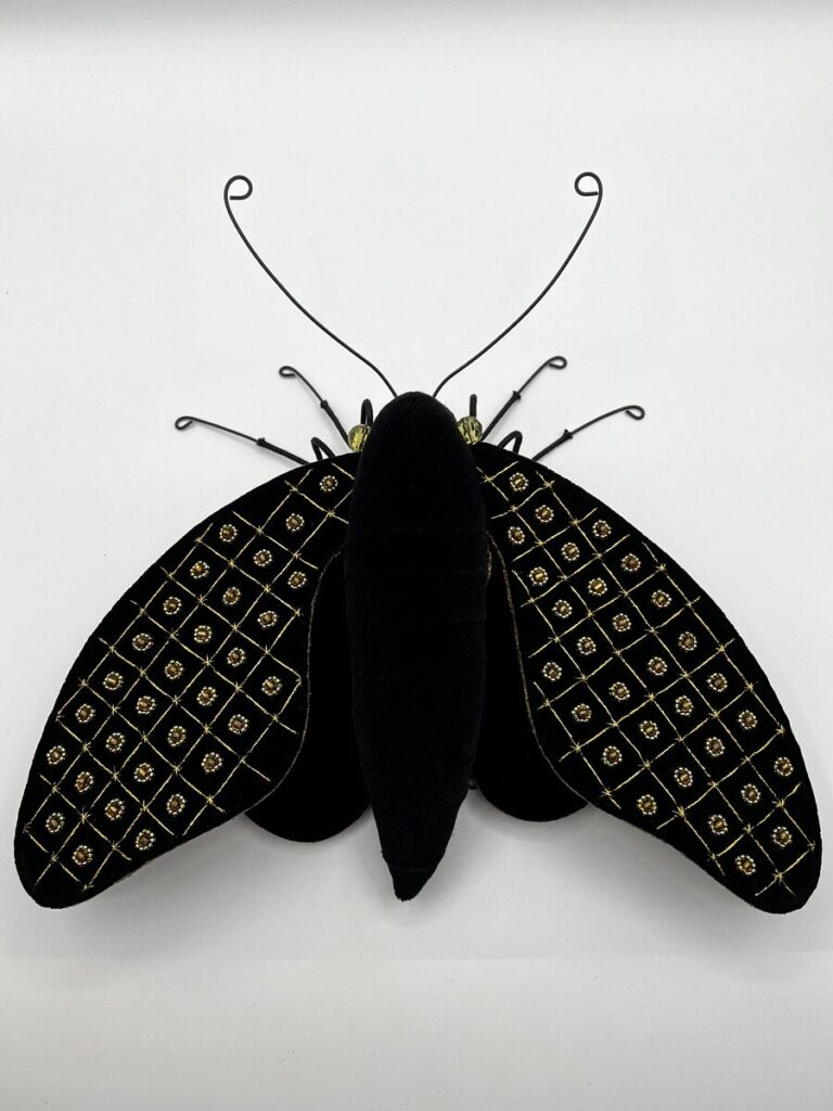 Larysa-Bernhardt-moths
