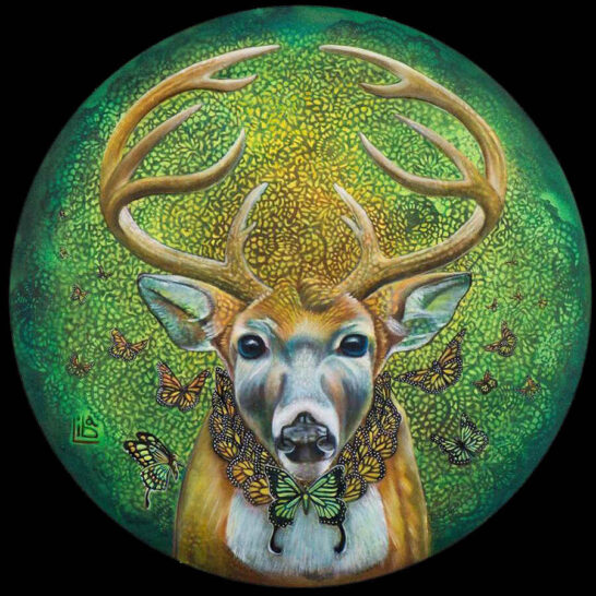 Liba-Waring-Stambollion-Sacred-Deer