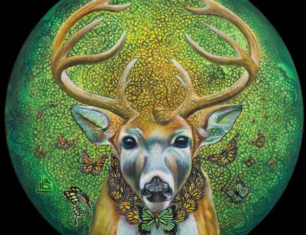 Liba-Waring-Stambollion-Sacred-Deer