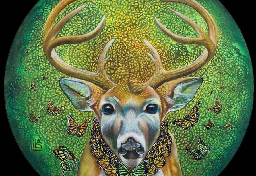 Liba-Waring-Stambollion-Sacred-Deer