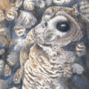 Rachel-Ivanyi-Redefining-Deciduous