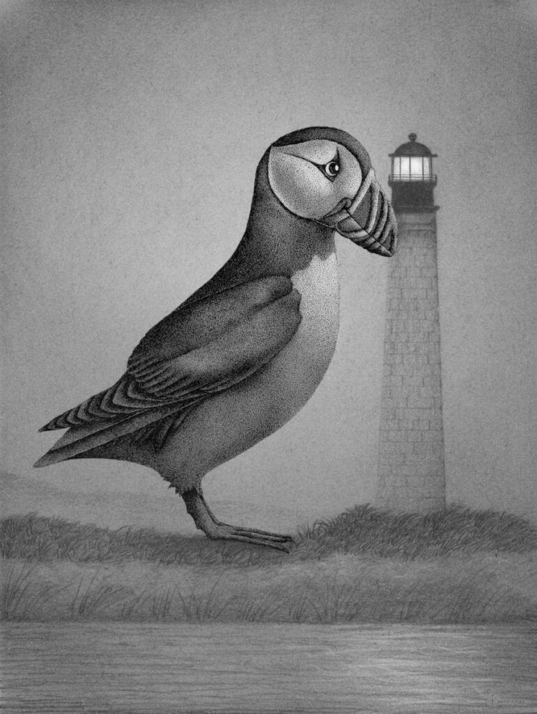 Juliet-Schreckinger-Puffin-Light