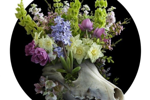 Nick-Pedersen-Flower-skull-garden