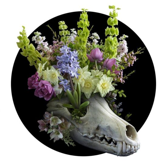 Nick-Pedersen-Flower-skull-garden