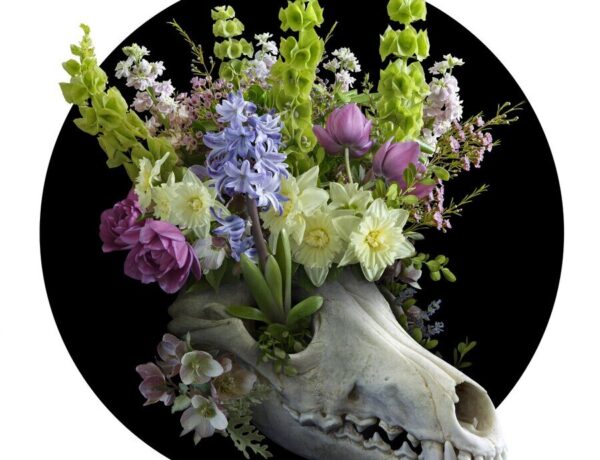 Nick-Pedersen-Flower-skull-garden