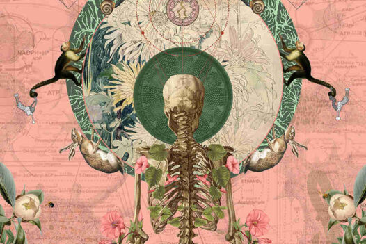 Amy-Salomone-surreal