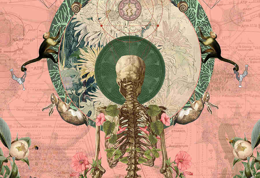 Amy-Salomone-surreal