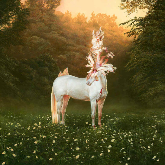 Andrea-du-Plessis -arts