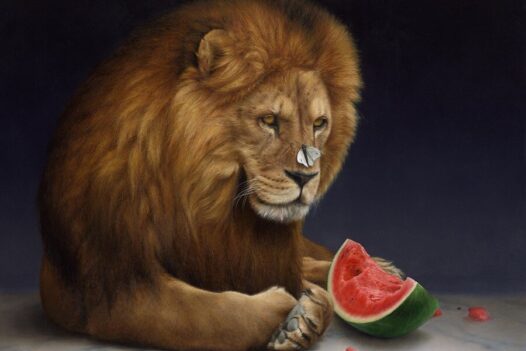 Jacqueline-Butterworth-lion