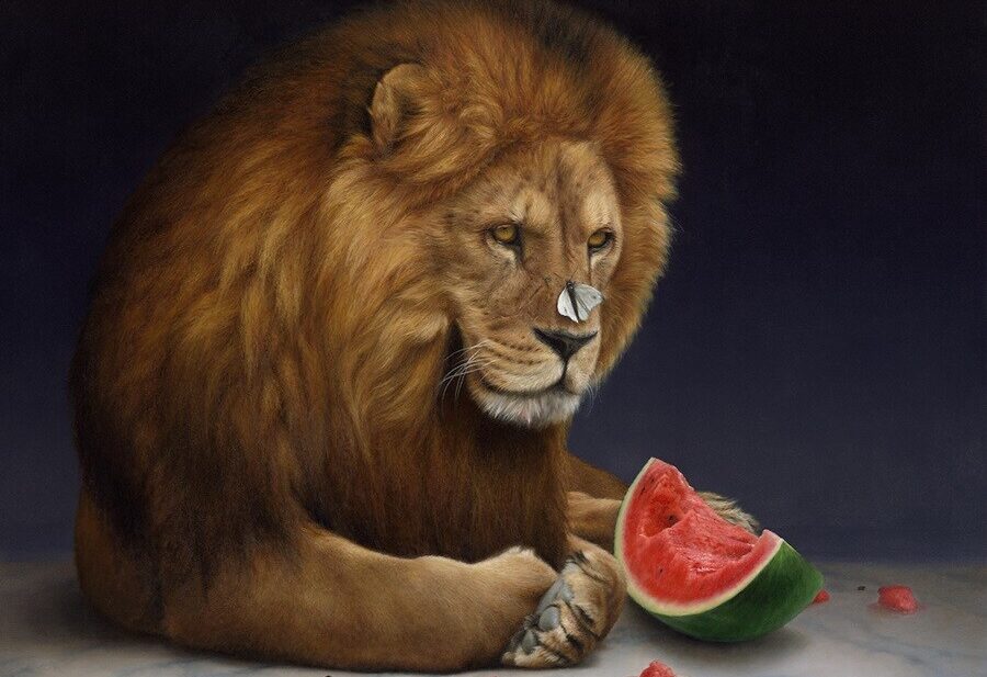 Jacqueline-Butterworth-lion