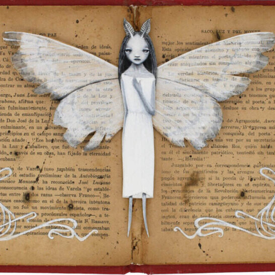 Valerie-Savarie-wings