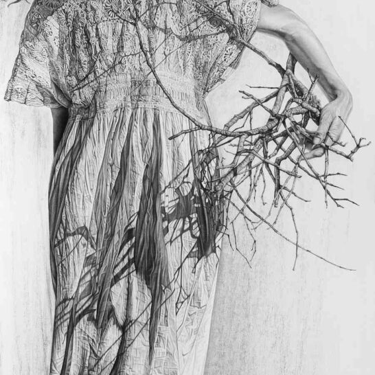 Kim-Anderson-art