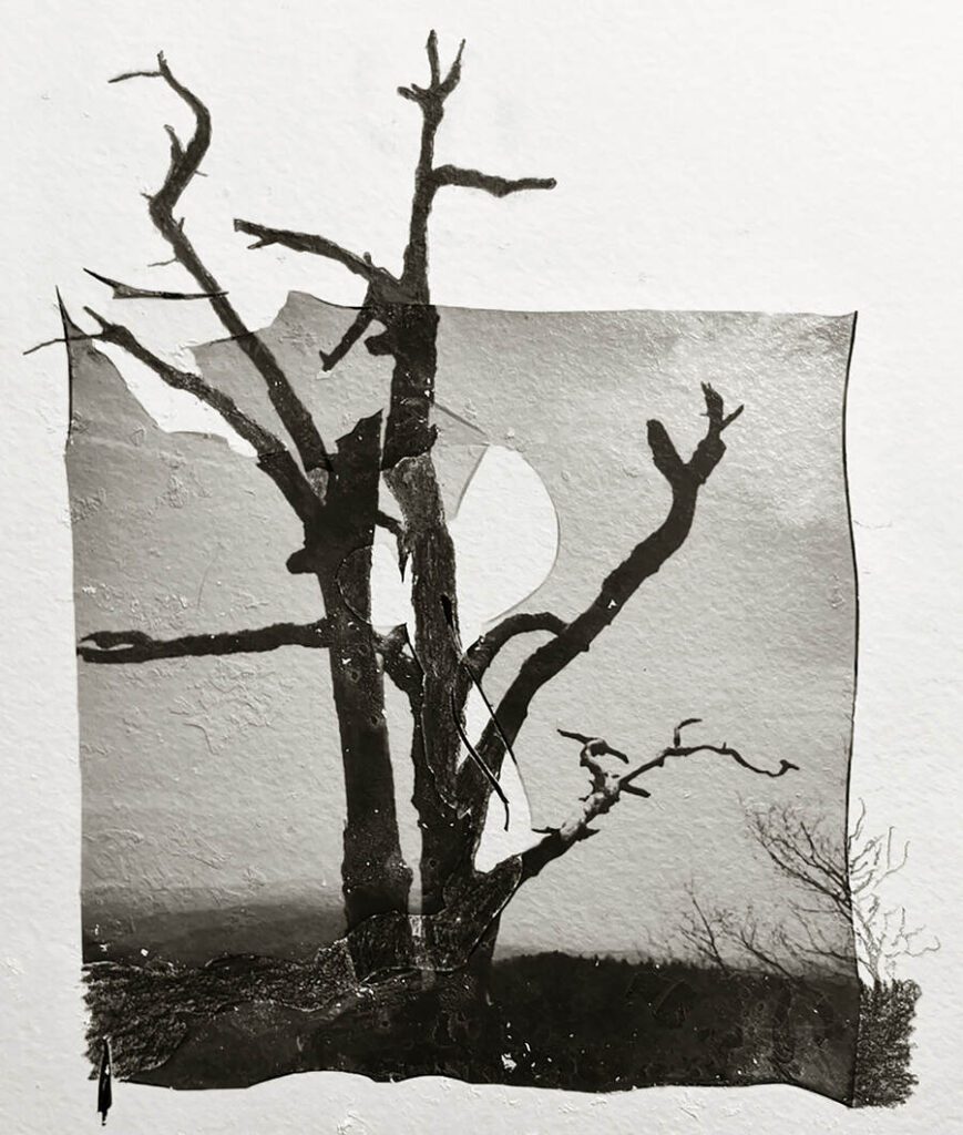 Laura-Barth-Dry-season