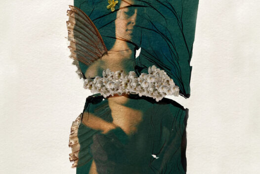 Laura-Barth-Fairy