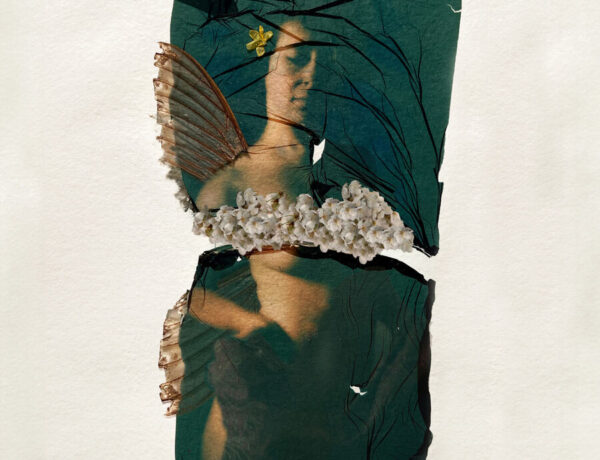 Laura-Barth-Fairy
