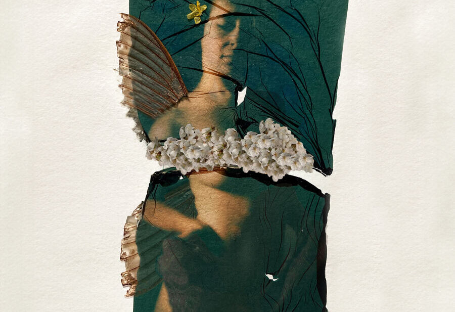 Laura-Barth-Fairy