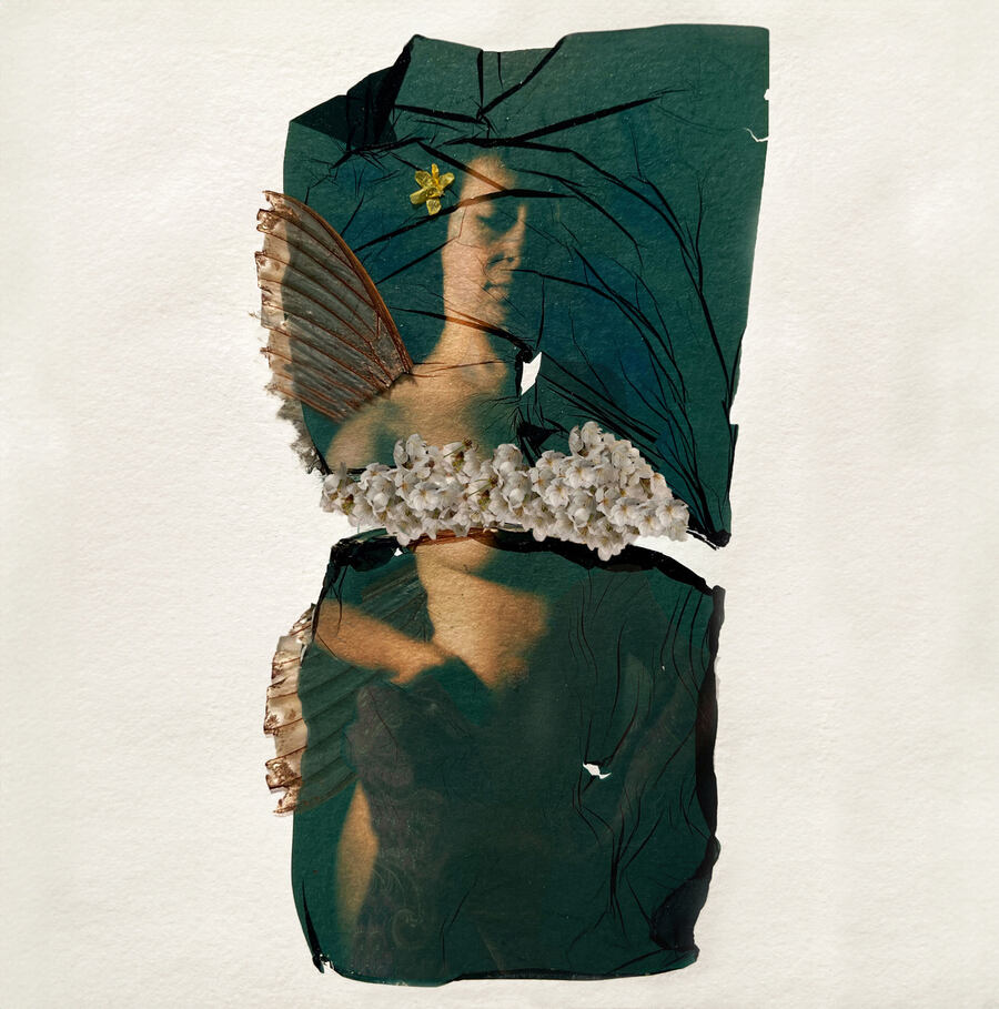 Laura-Barth-Fairy