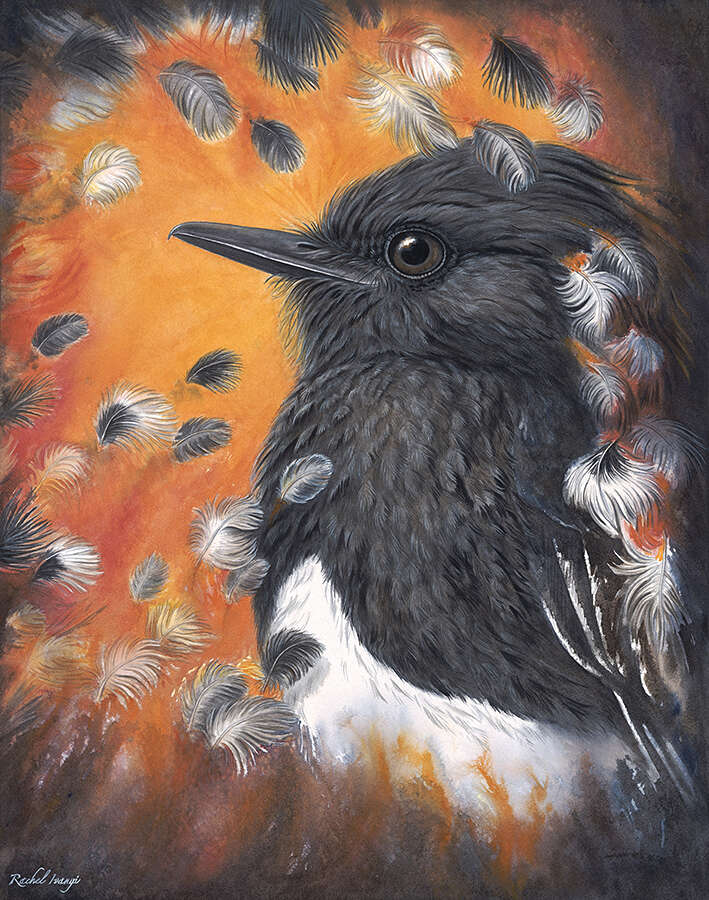 Rachel-Ivanyi-Ashes-Take-Flight