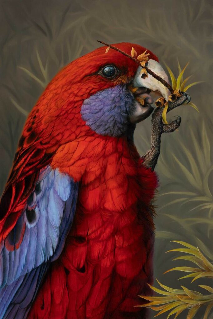 Swapnil-nevgi-crimson-fella