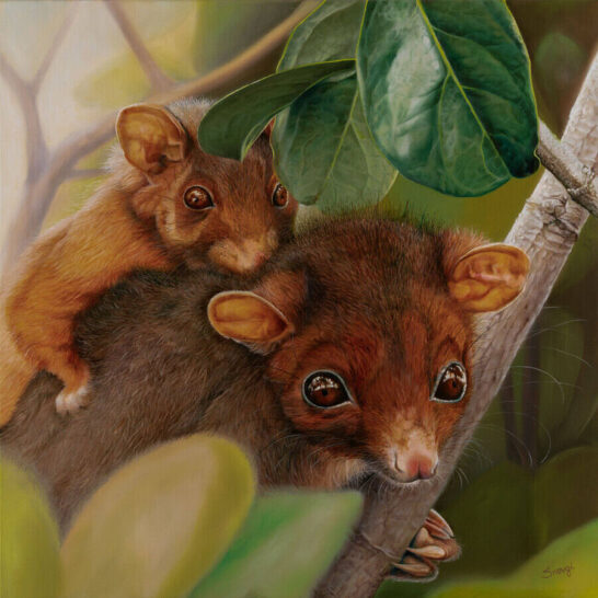 Swapnil-nevgi-piggyback-baby-v2