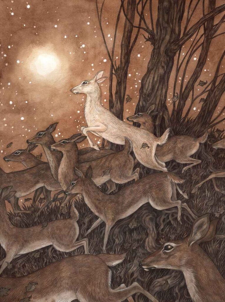 Adam-Oehlers-doe