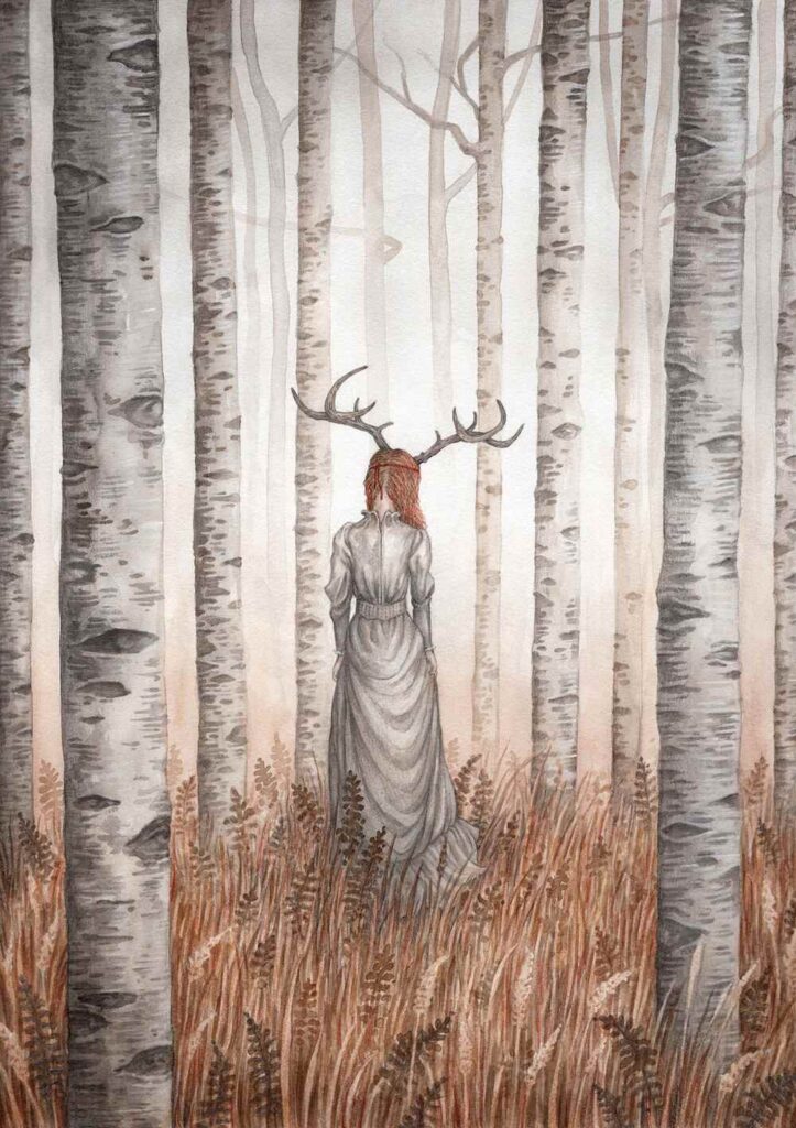 Adam-Oehlers-nature Haven Gallery