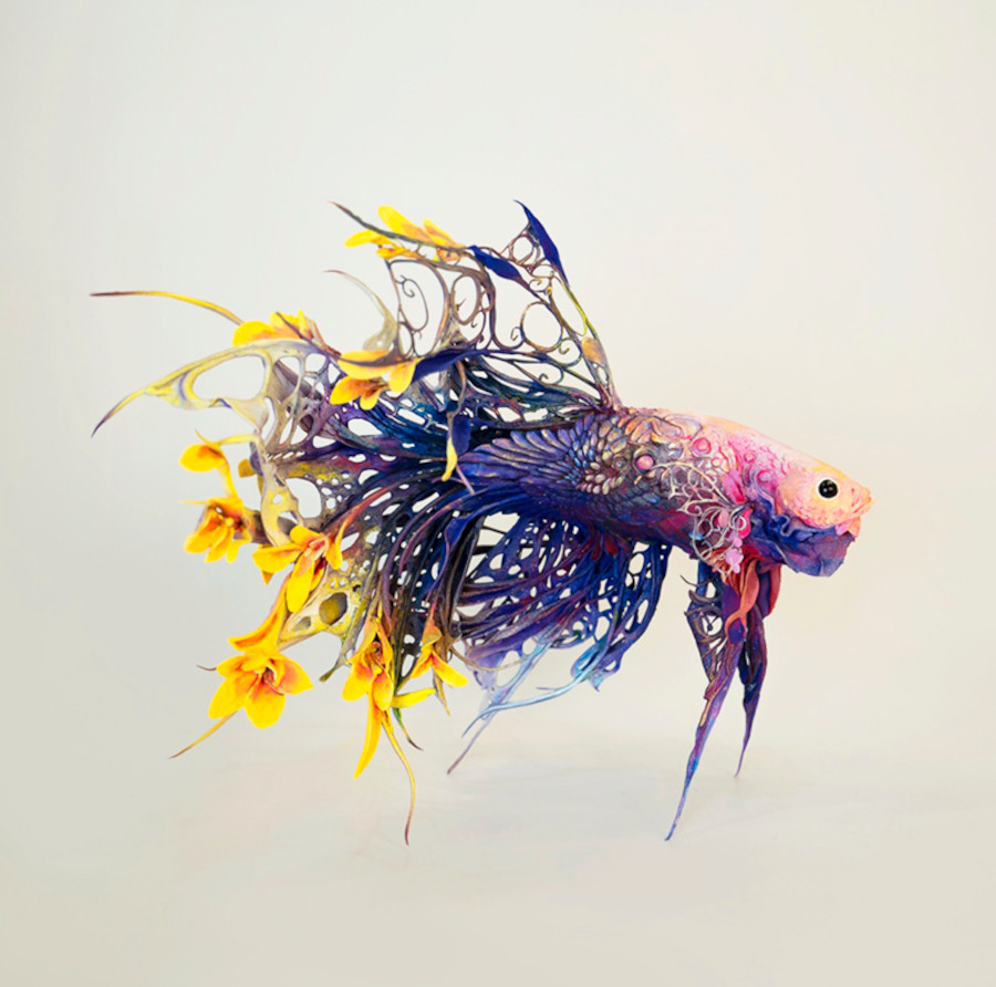 Ellen-Jewett-LR