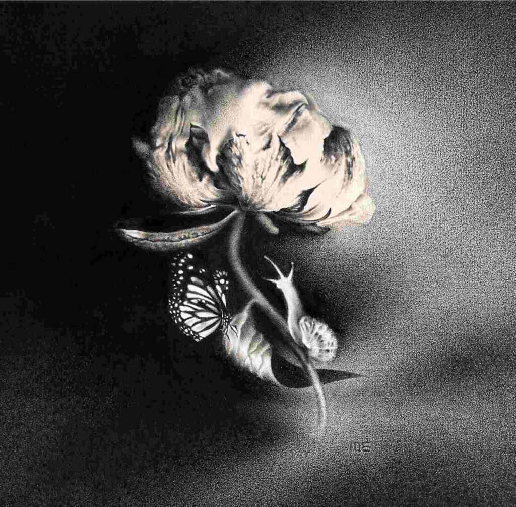 Margaret-Emsley-Not-the-Dark- But-The-Light