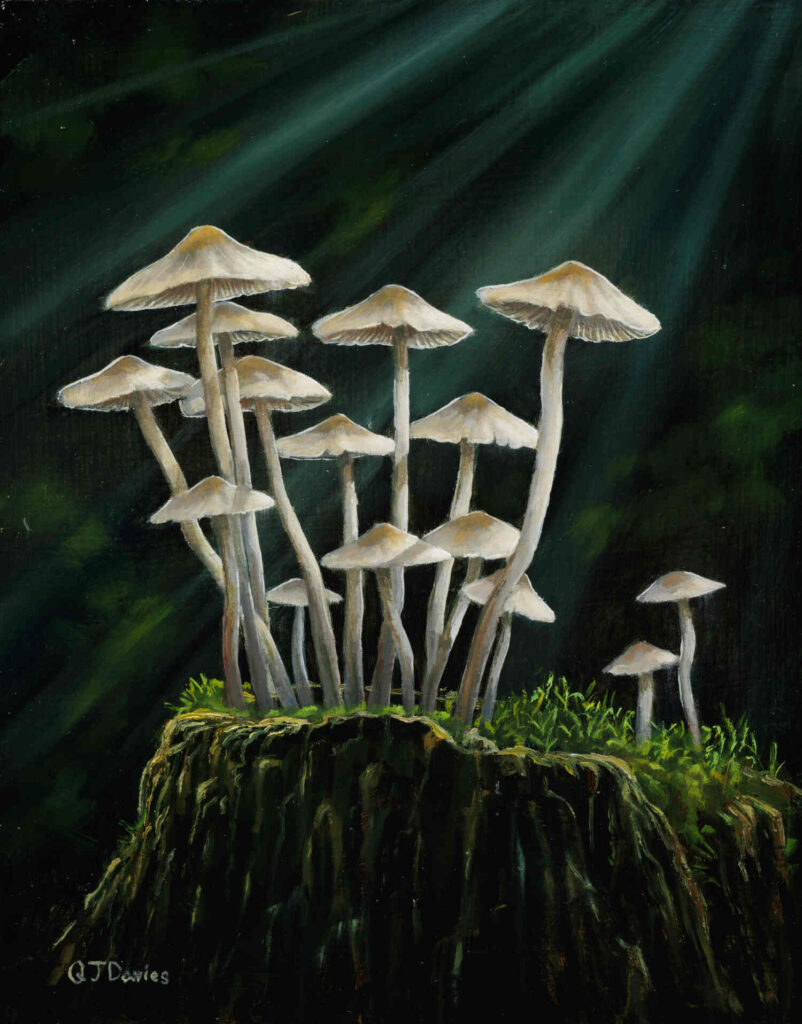 Quintin-Davies-Moonlit-Mottlegills