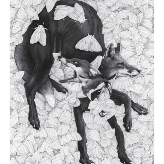 Sara-Baun-Fox