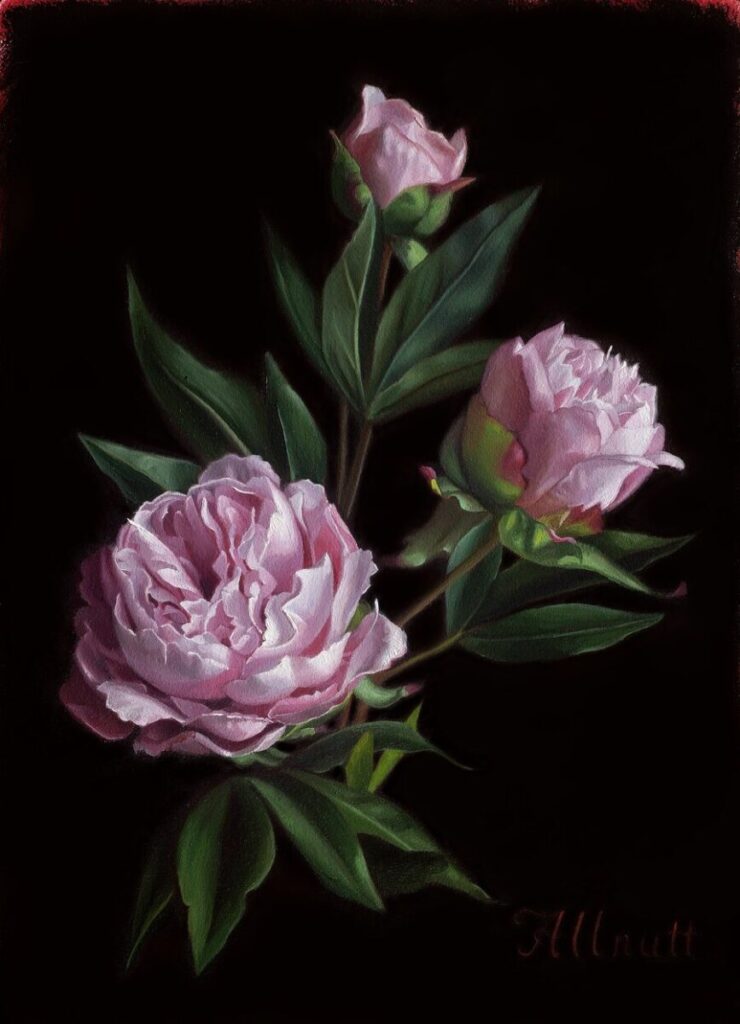 Jennifer-Allnutt-Unfurling