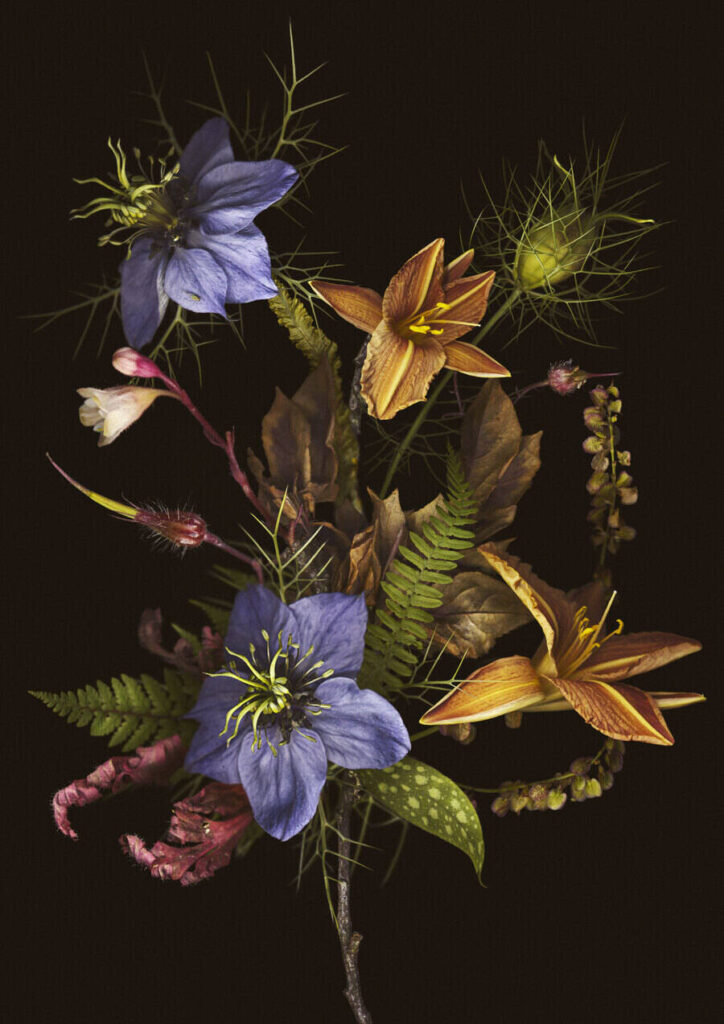 Matt-Walford-Flower-Study-1