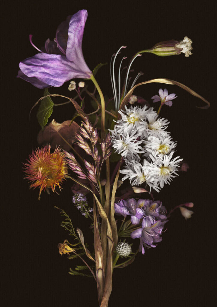 Matt-Walford-Flower-Study-2