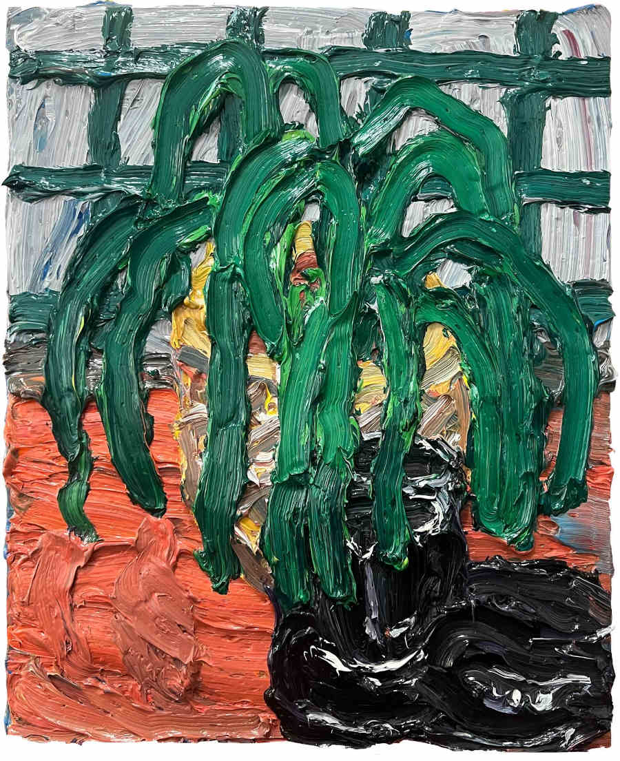 emilio-villalba-Plant-and-Boots