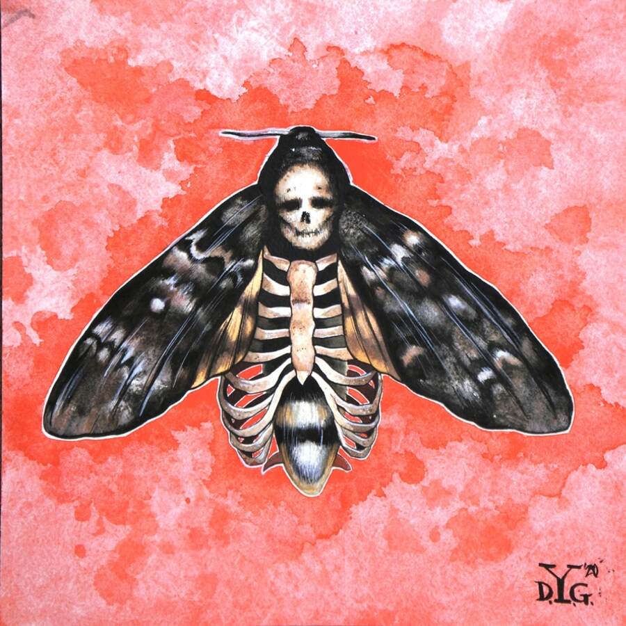 Jari-Di-Giampietro-Mothman